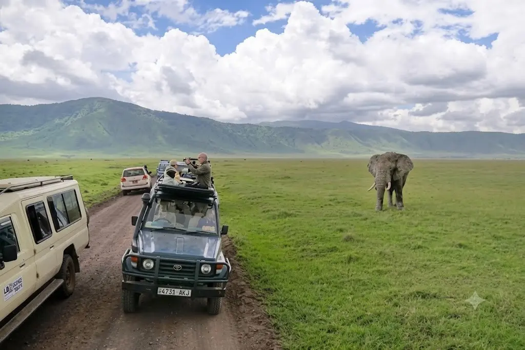 Tarangire and Ngorongoro safari